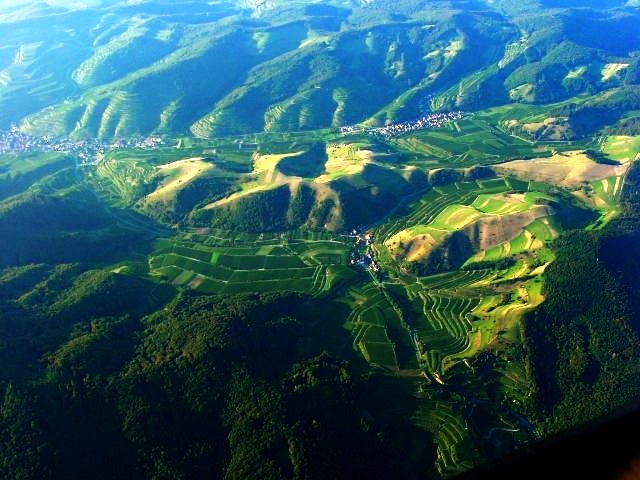 Luftaufnahme der Rebterrassen im Kaiserstuhl